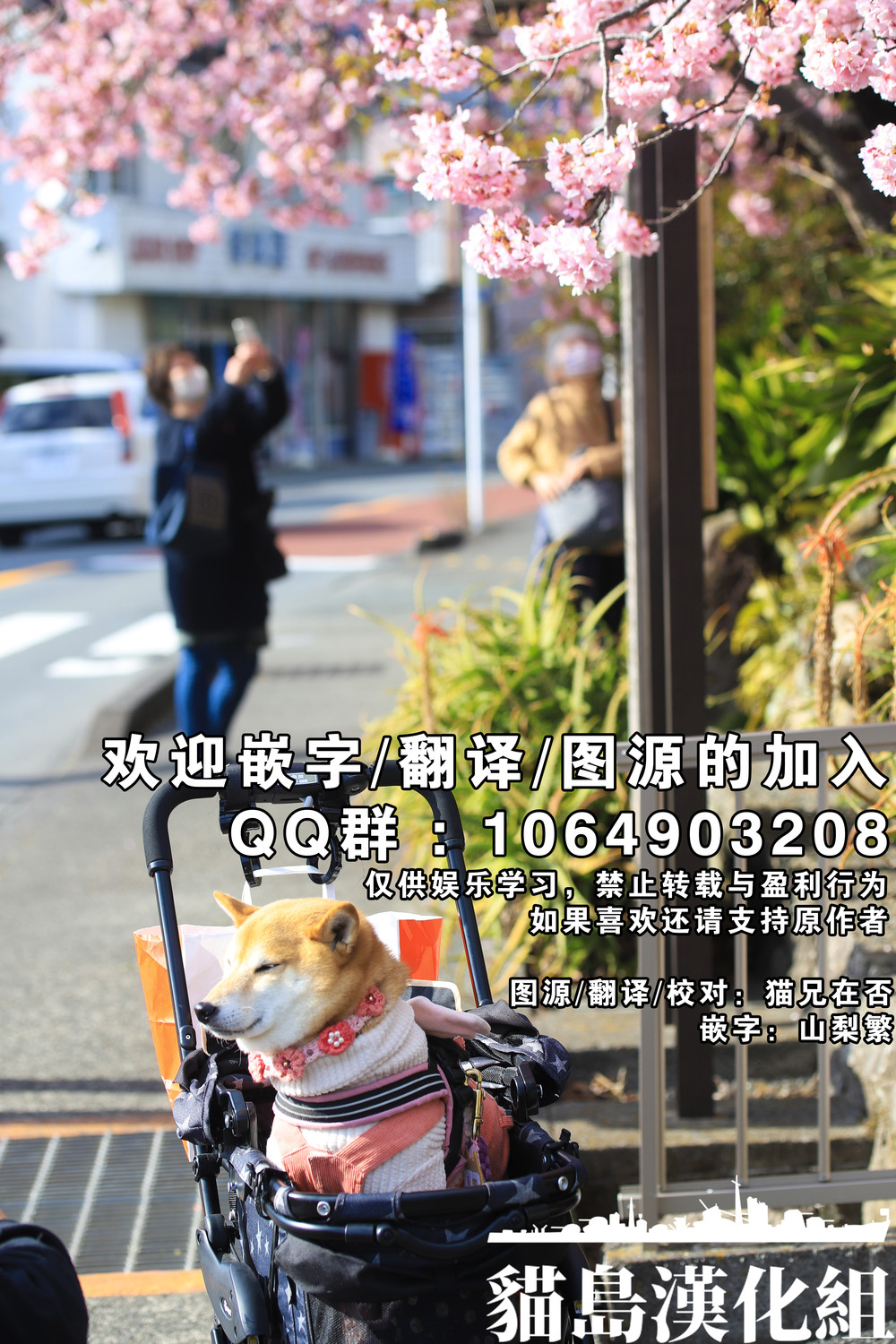 (C102) [virophilia (織日ちひろ)] 青く色褪せろ (ラブライブ! 虹ヶ咲学園スクールアイドル同好会) [猫岛汉化组] [v2]
