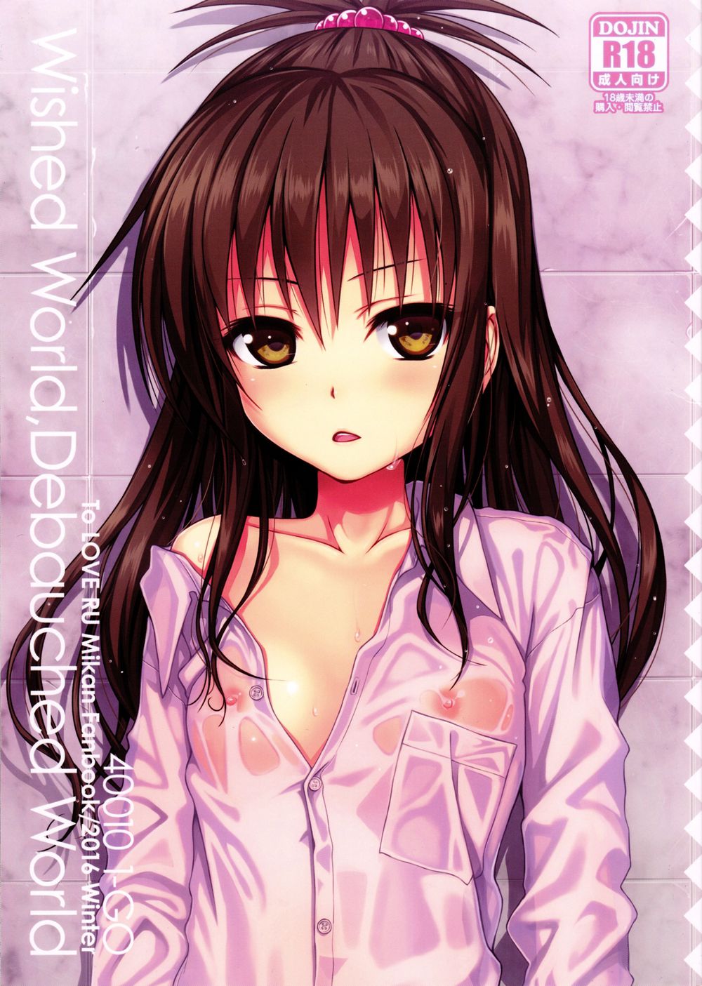 (C91)(同人誌)[40010壱号 (40010試作型)] Wished World,Debauched World (To LOVEる -とらぶる-)[佳奈助汉化组]