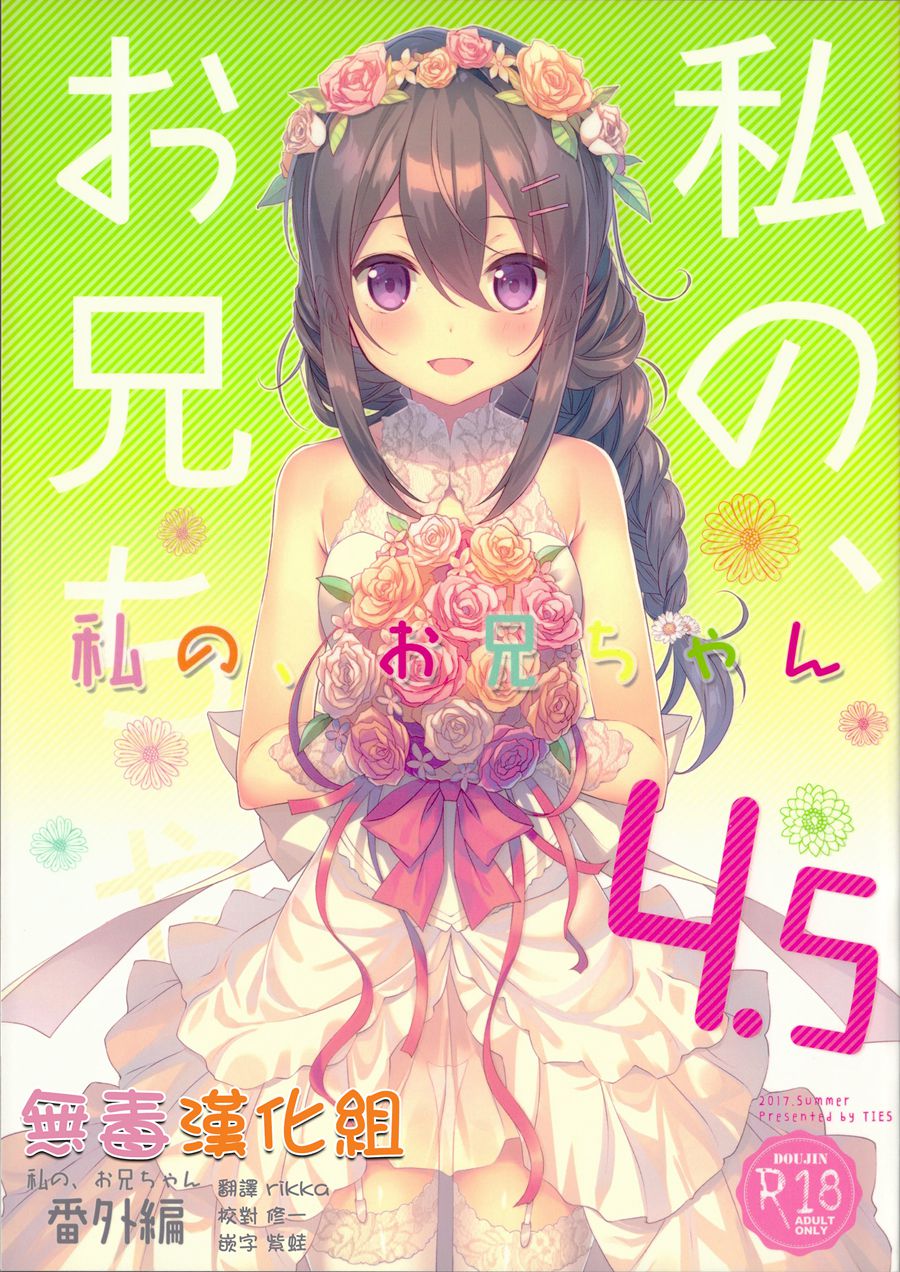 [无毒汉化组] (C92) [TIES (タケイオーキ)] 私の、お兄ちゃん4.5 番外編