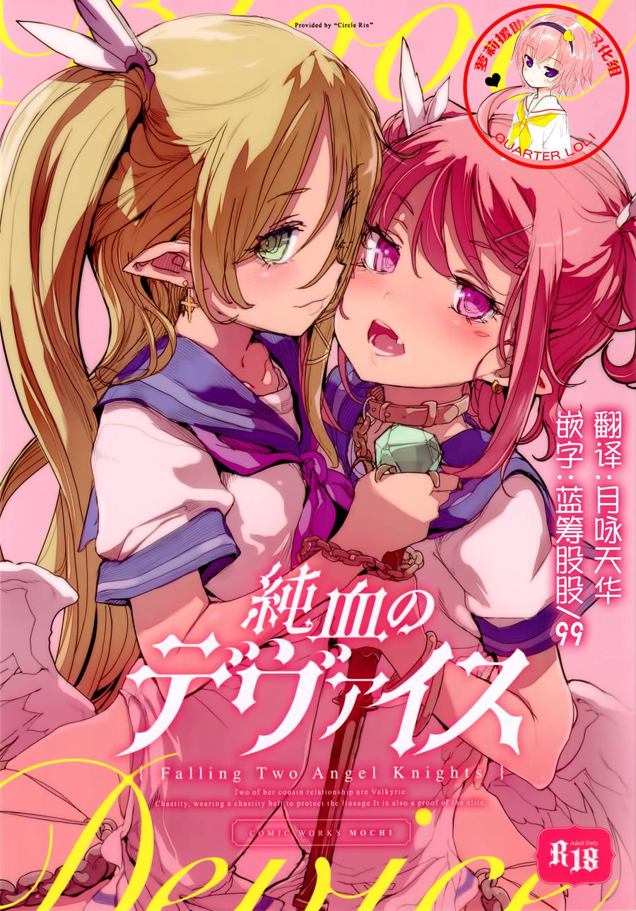 [萝莉援助汉化组] (C92) [RIN (モチ)] 純血のデヴァイス