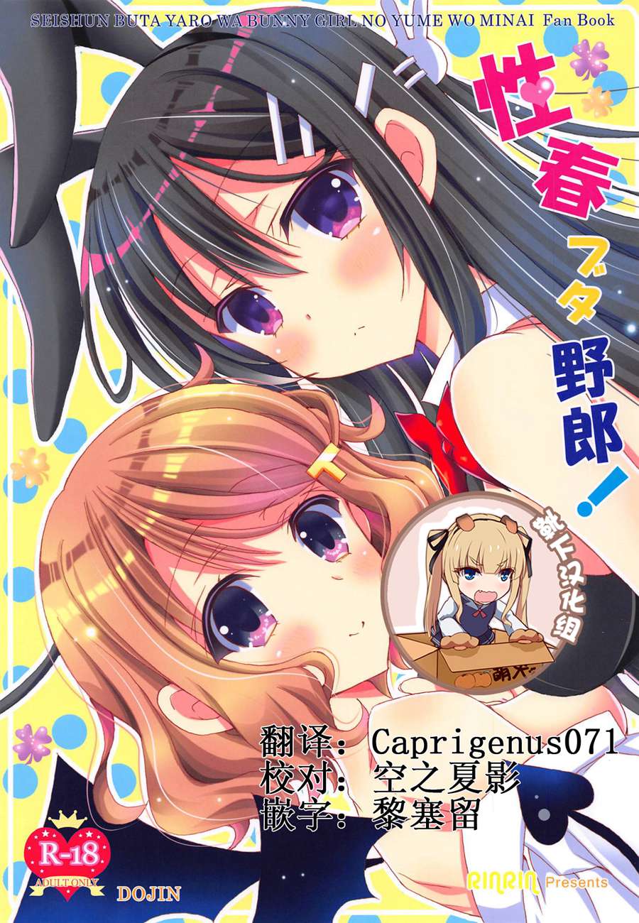 [靴下汉化组] (C95) [倫鈴 (RINRIN)] 性春ブタ野郎! (青春ブタ野郎はバニーガール先輩の夢を見ない)