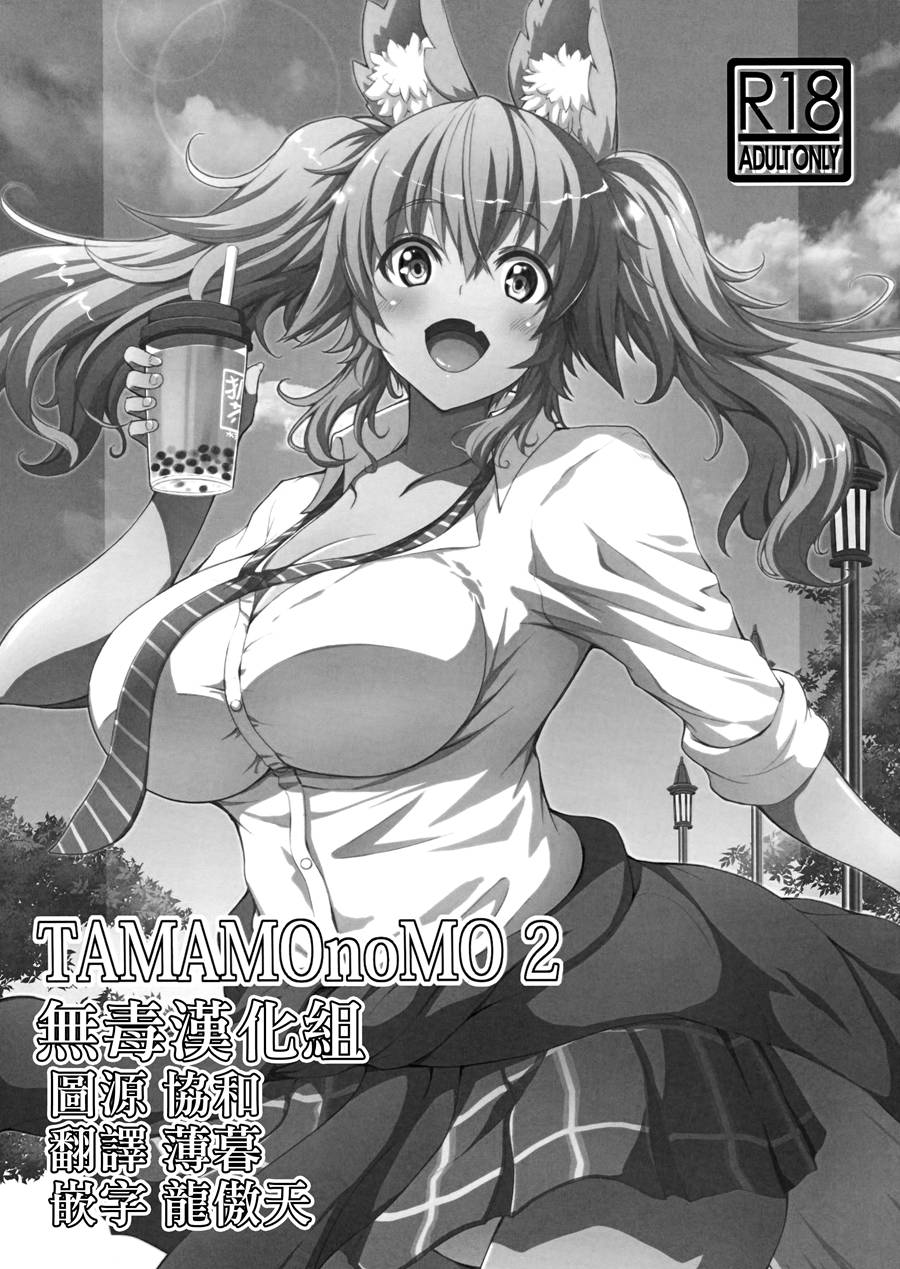 [无毒汉化组] (C96) [BRAVE HEART petit (KOJIROU!)] TAMAMOnoMO 2 (Fate Grand Order)