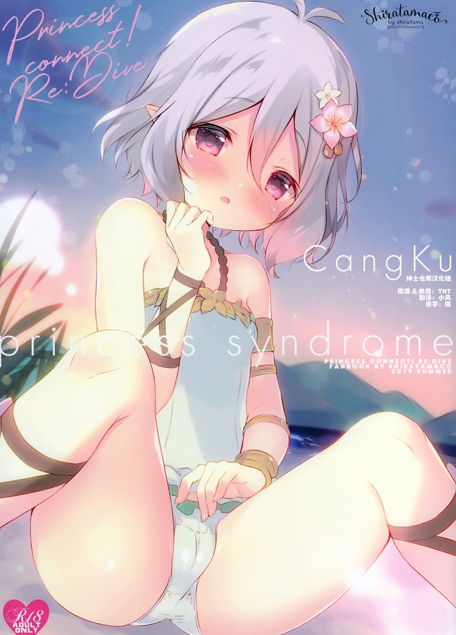 [绅士仓库汉化] (C96) [しらたまこ (しらたま)] princess syndrome  (プリンセスコネクト!ReDive)