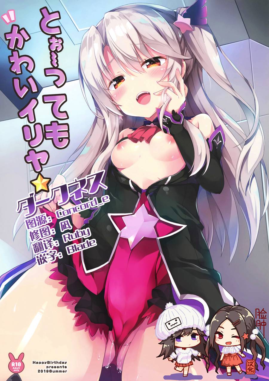 [脸肿汉化组] (C96) [HappyBirthday (丸ちゃん。)] とぉ～ってもかわいイリヤ ダークネス (FateGrand Order)