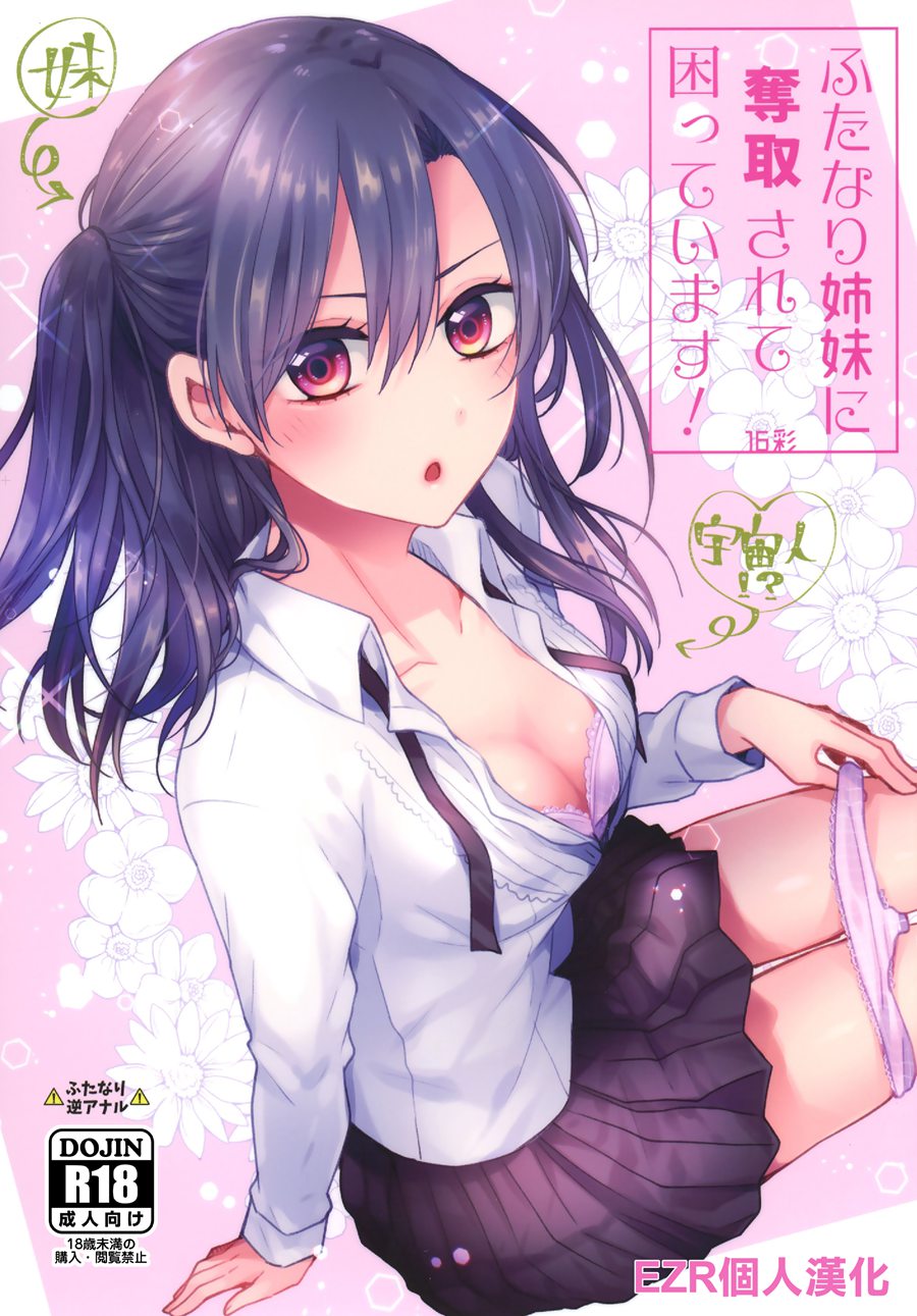 [EZR個人漢化] (C96) [16彩 (パスタチン)] ふたなり姉妹に奪取されて困っています!