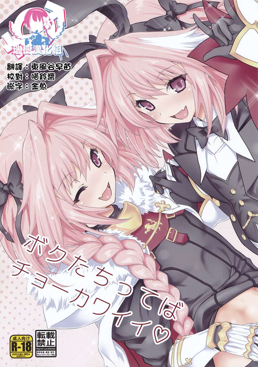 [瑞树汉化] (C97) [鶯屋 (鶯神楽)] ボクたちってばチョーカワイイ (Fate Grand Order)
