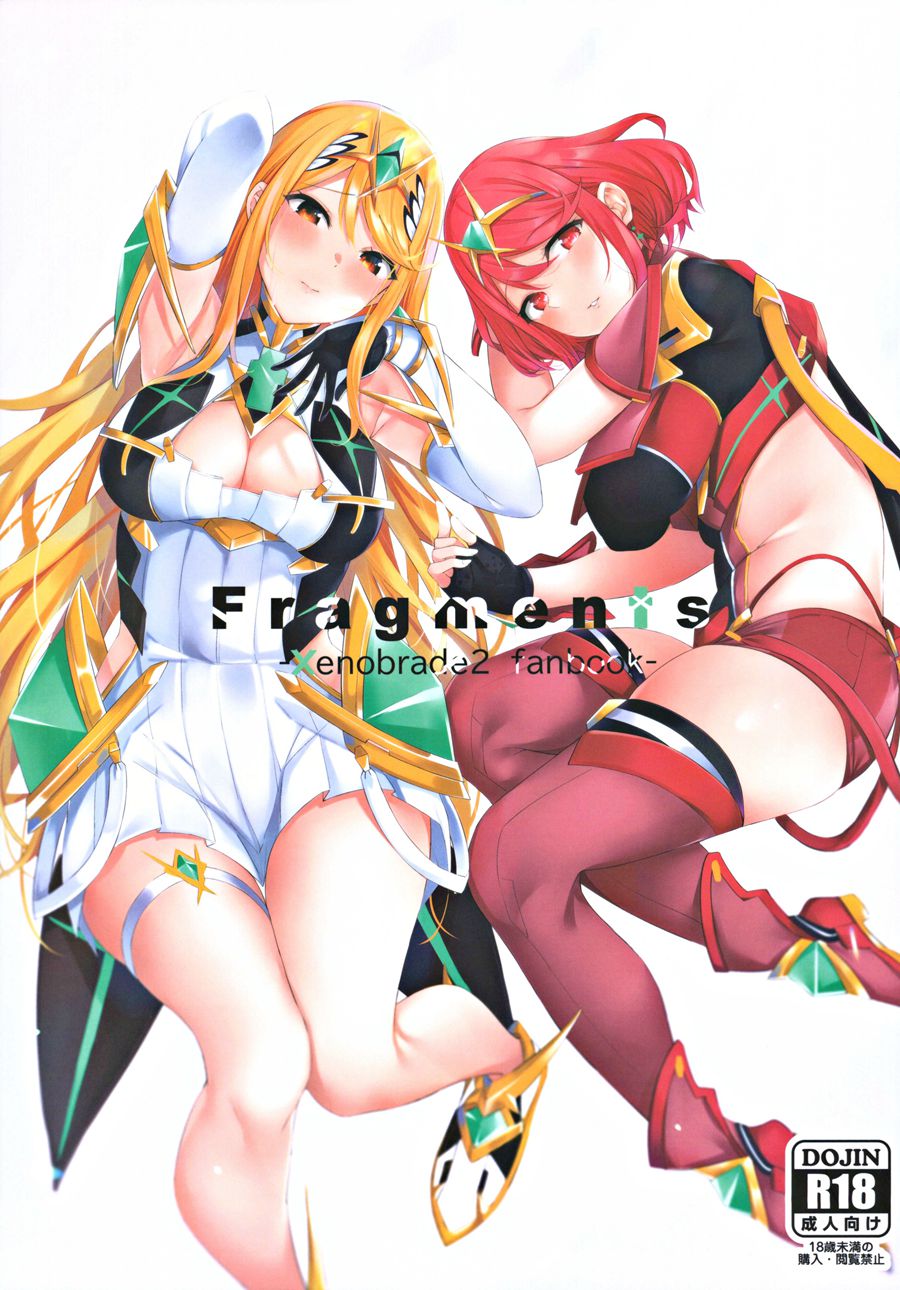 [打捞员协会汉化] (C97) [とらてぽっと (てとら)] Fragments (ゼノブレイド2)